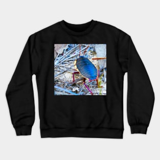 Australian cockroach on walkabout Crewneck Sweatshirt